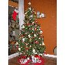 Maria Esperanza Shukin's Christmas tree from Richmond, British Columbia, Canada