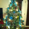 Terra Davis's Christmas tree from USA