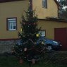 Árbol de Navidad de Elisardo (Asturias, España)