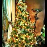 Judith Hernandez's Christmas tree from Philadelphia, PA, USA