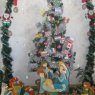 Bernarda's Christmas tree from Bella Unión, Uruguay