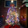 Carmen Castillo 's Christmas tree from Guatemala, Guatemala