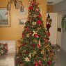 Javier Medina Molina's Christmas tree from Caracas, Venezuela