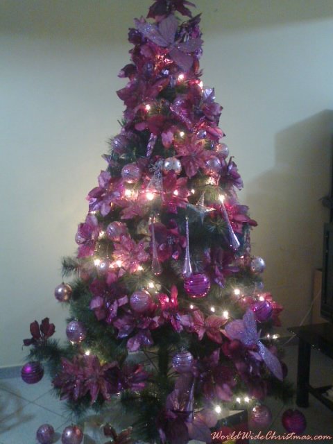 Montserrat Gonzalez's Christmas tree from Asuncion, Paraguay