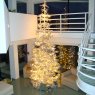 Cindy Canzoneri's Christmas tree from Malibu, CA, USA