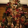 Florencia Maffei's Christmas tree from Buenos Aires, Argentina
