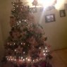 fernando ramirez's Christmas tree from Venezuela