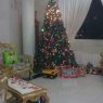 Sonnia Macias's Christmas tree from Guayaquil, Ecuador