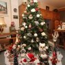 Denise's Christmas tree from Dilbeek, Belgium