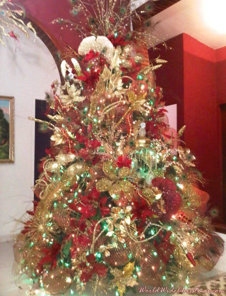 Andres Eloy Rondon's Christmas tree from Merida, Venezuela