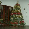 Weihnachtsbaum von Thais Maldonado (Maracaibo-Zulia, Venezuela)