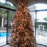 Marleny Vega Castro's Christmas tree from San Jose, Costa Rica
