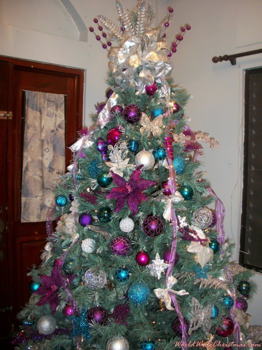 Raily Castillo's Christmas tree from Orange Walk, Belize