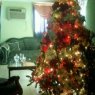 Magdy Velasquez's Christmas tree from Maracaibo, Venezuela