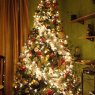 David Lopez's Christmas tree from Jalisco , Mexico
