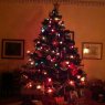 Cara Hoey's Christmas tree from Scotland, UK