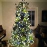 Weihnachtsbaum von Jose Castro (Calexico, CA, USA)