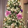 Vivian's Christmas tree from Canada