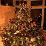 Sophie Eloise's Christmas tree from England, UK