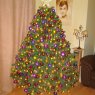 Daniel James's Christmas tree from UK