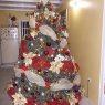 Yormariz yaneira Silvestre Moreno's Christmas tree from Barinas, Venezuela