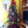 Arianne Alonso Camacho's Christmas tree from España