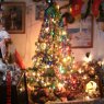 Carlos Collazo y Mari's Christmas tree from Argentina