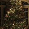 Chase Grogg's Christmas tree from Millbrook, NY, USA