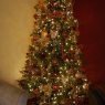 Evelina Shabani's Christmas tree from Glendale, CA, USA