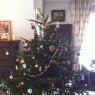 Louis Renard's Christmas tree from Le Touquet, France