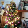 Celia Beledo's Christmas tree from Las Piedras, Uruguay