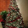 Valeria Rocchio's Christmas tree from Mexicali, México