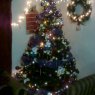 Yenisel de Zuñiga's Christmas tree from Panamá
