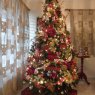 Rocio Cordero Urbaez's Christmas tree from San Cristobal, Republica Dominicana