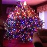 Cory Christine's Christmas tree from Speedway, IN, USA