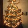 Ganett Castillo's Christmas tree from San Jose de Guanipa, Anzoategui, Venezuela