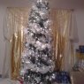 Luis Donaldo Nevarez's Christmas tree from México
