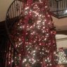 Ramones Family Tree's Christmas tree from Helotes, Texas, USA