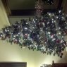 Dave & Cindy 's Christmas tree from Grand Rapids,Mi.,USA