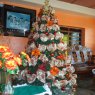 Alicia Rangel's Christmas tree from Ciudad Bolívar, Venezuela