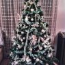 fandard's Christmas tree from Waterloo, Belgium