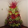 Gladys's Christmas tree from Caracas, Venezuela