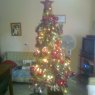 Familia Sanabria's Christmas tree from Cordoba, Argentina