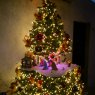 Fermin M.'s Christmas tree from México