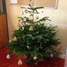Louise Touch's Christmas tree from Beauvais, France