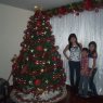 Weihnachtsbaum von Monica Andrea Vega (Bogota, Colombia)