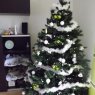 Weihnachtsbaum von Mari (Sailly-Achatel, France)