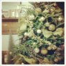 Kristi's Christmas tree from Douglas, GA, USA