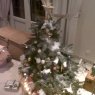 titinola's Christmas tree from Grenoble, France
