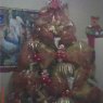 Jhon Alexander's Christmas tree from Medellin, Colombia
